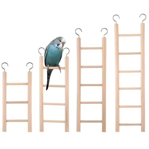 4 Stück Vogelspielzeug Holzleiter 4 Größen Trittleiter für Vogel Vogelspielzeug Leiter hängende Vogelleiter Papagei Trittleiter Käfig hängende Vogelkletterspielzeug für Sittiche, Papageien, Kakadu und 4 Stück Vogelspielzeug Holzleiter 4 Größen Trittleiter für Vogel Vogelspielzeug Leiter hängende Vogelleiter Papagei Trittleiter Käfig hängende Vogelkletterspielzeug für Sittiche, Papageien, Kakadu und von EupHHonycs