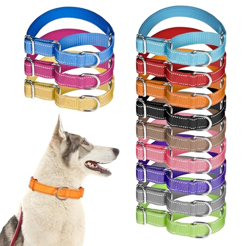 Martingale-Halsband für mittelgroße Hunde, verstellbares Haustier-Trainingshalsband, reflektierend, mit robuster Metallschnalle, strapazierfähiges Nylon, kein Ziehen, Martingalhalsband für kleine Martingale-Halsband für mittelgroße Hunde, verstellbares Haustier-Trainingshalsband, reflektierend, mit robuster Metallschnalle, strapazierfähiges Nylon, kein Ziehen, Martingalhalsband für kleine von EupHHonycs