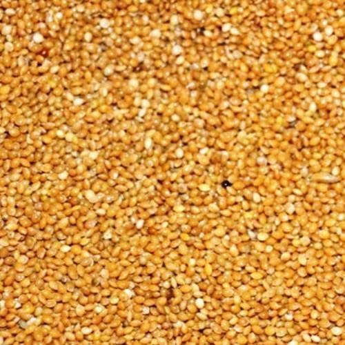 Eurital Hirse Gelb 5 Kg für Wellensittiche Großsittiche und Tauben Eurital Hirse Gelb 5 Kg für Wellensittiche Großsittiche und Tauben von Eurital