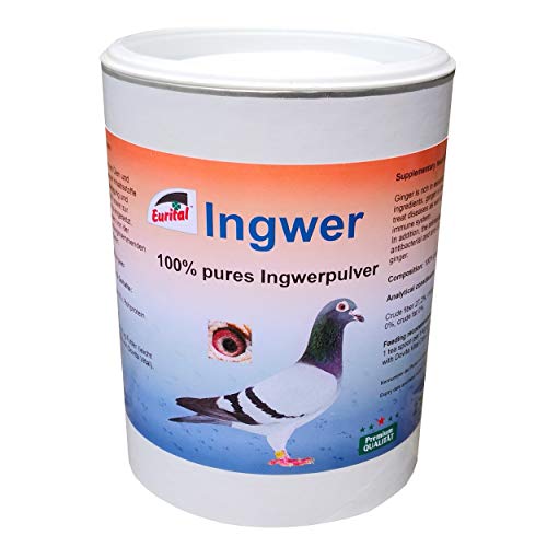 Eurital Ingwerpulver 275g – 100% natürlicher Ingwer von Eurital