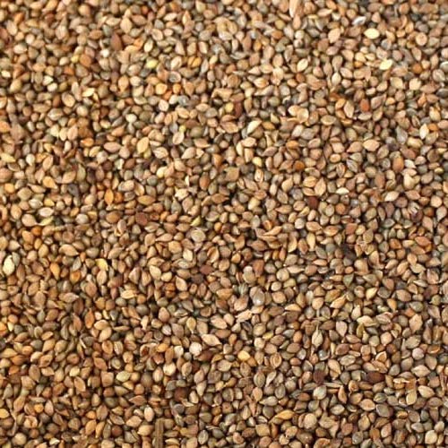 Eurital Japanhirse 5 kg von Eurital