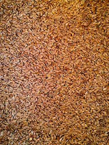 Eurital Leinsamen - braun - für Pferde, Haustiere, Nager, Vögel, Tauben, Hunde 5 kg Eurital Leinsamen - braun - für Pferde, Haustiere, Nager, Vögel, Tauben, Hunde 5 kg von Eurital