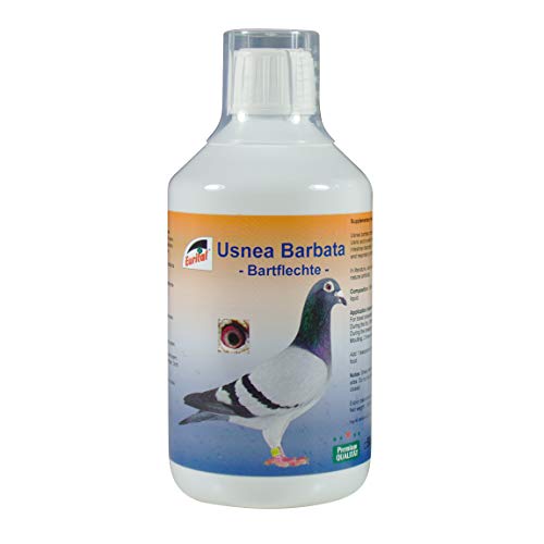 Eurital Usnea Barbata - natürliche Usninsäure (500ml) von Eurital