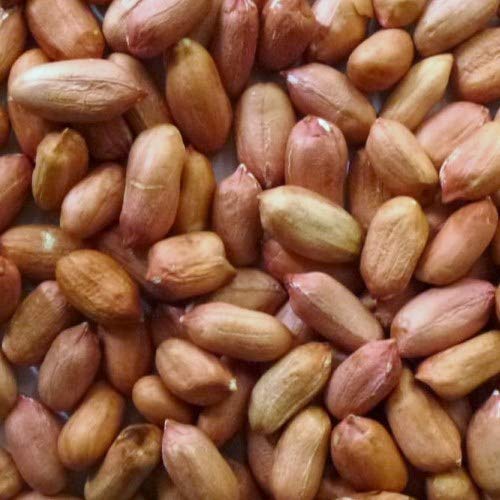 Eurital geschälte Erdnüsse mit Haut für Tauben und Wildvögel 2,5 kg Wildvogelfutter von Eurital