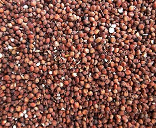 Eurtial Milokorn rot 5 kg für Tauben, Großsittiche, Papageien und Nager Eurtial Milokorn rot 5 kg für Tauben, Großsittiche, Papageien und Nager von Eurital