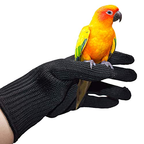 Eurobuy Vogeltraining, Anti-Biss-Handschuhe für kleine Tiere, Kau-Schutzhandschuhe aus Stahldraht, zum Greifen von Vögeln, Training, Füttern usw., 22,9 x 15,2 cm. 3 von Eurobuy