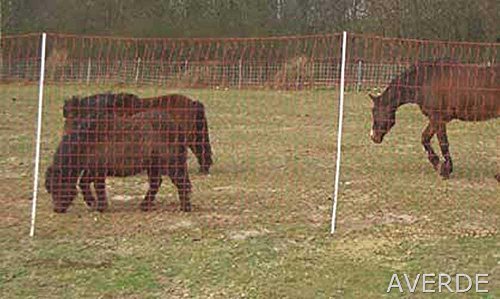 Pferdenetz, Weidezaunnetz, Mustang - Netz, 145 cm x 50 m von Euronetz