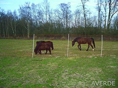 Pferdenetz, Weidezaunnetz, Mustang - Netz, 170 cm x 25 m von Euronetz