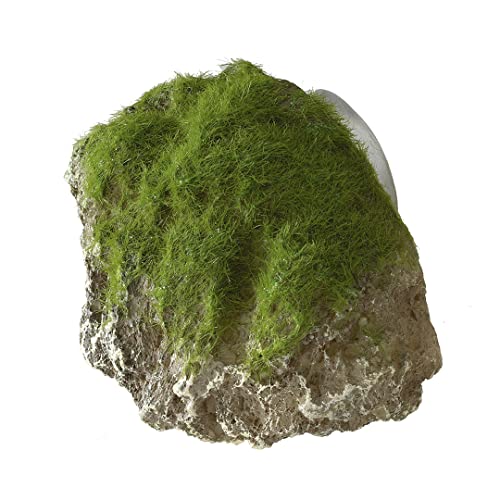 Europet Bernina 234-430163 Aquariumdekoration Aqua Della Moss Stone with Suction Cup, M von Europet Bernina