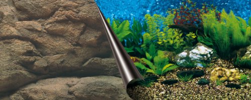 Europet Bernina 241-108796 Photo-Rückwand, 120 x 50 cm Motiv Sea und Rock von Europet Bernina