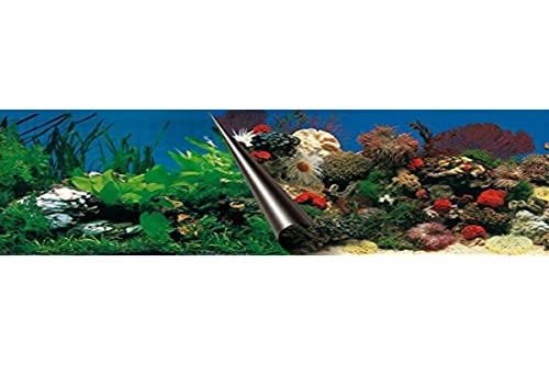 Europet Bernina 241-108833 Photo-Rückwand, 60 x 30 cm Motiv Stone und Coral von Europet Bernina