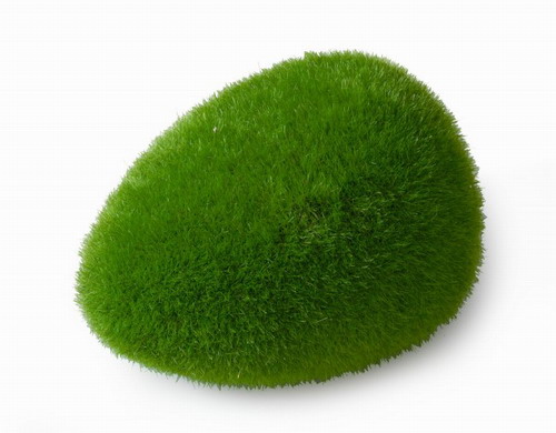 Moss Ball - L - ca. 11,5x9x6 cm von Europet