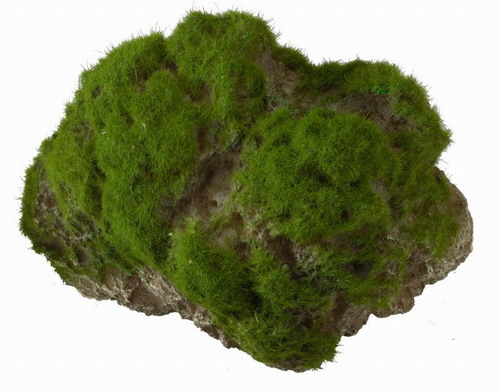 Moss Stone - L - ca. 17 x 11 x 13,5 cm - mit Saugnapf von Europet
