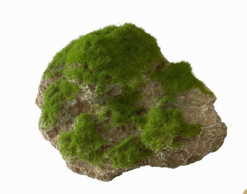 Moss Stone - M - ca. 16 x 11 x 11 cm - mit Saugnapf von Europet