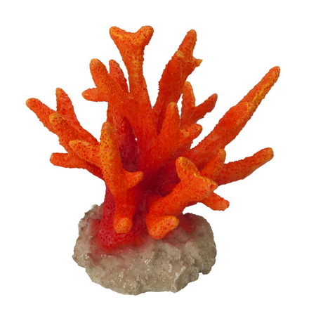 Orange Nadelkoralle, Seriatopora Koralle ca. 8,5 x 8,5 x 9 cm von Europet