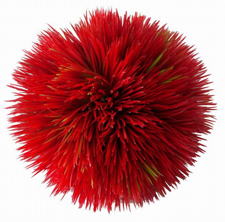 Plant Ball - red - ca.11 x 11 x 11 cm von Europet