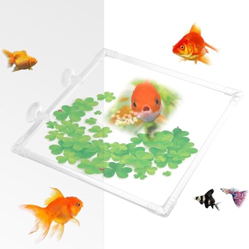 Euyehn Fish Feeder Ring - Fish Feeder Plant Rings - Aquarium Feeder with Suction Cups, Fish Tank Feeder Acrylic Plant Corral, Fish Tank Accessories Euyehn Fish Feeder Ring - Fish Feeder Plant Rings - Aquarium Feeder with Suction Cups, Fish Tank Feeder Acrylic Plant Corral, Fish Tank Accessories von Euyehn