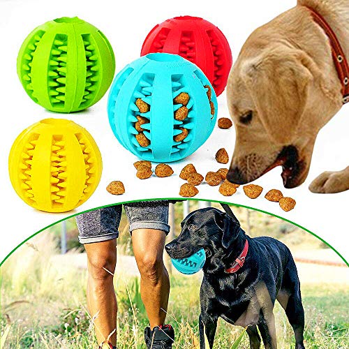 Eva Shop® Premium Zahnpflege Ball mit Minzgeschmack Hundespielzeug aus Naturkautschuk - Intelligentes Spielzeug für Hunde und Katzen - Kauspielzeug Tiere - verschidenen Größen und Farben (M - 6cm) von Eva Shop