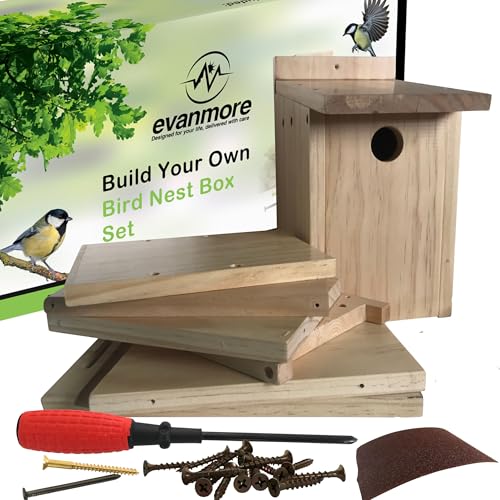 Bauen Sie Ihr eigenes Vogelkasten-Set DIY Kit Vogelhaus Geschenk Holz für Kinder Erwachsene Garten Selbstmontage Vogelhaus Boxen Kits Bauen Sie Ihr eigenes Vogelkasten-Set DIY Kit Vogelhaus Geschenk Holz für Kinder Erwachsene Garten Selbstmontage Vogelhaus Boxen Kits von Evanmore