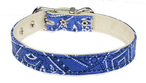 Evans Collars 1,27 cm Halsband, Größe 40, Bandana, Blau von Evans Collars