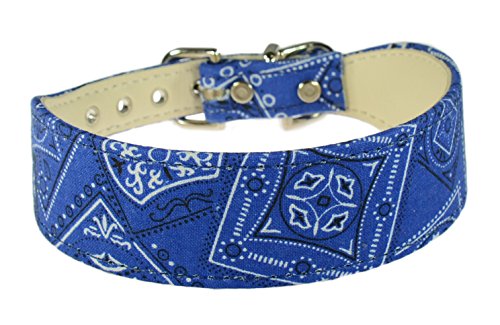 Evans Collars 3,8 cm geformtes Halsband, Größe 44, Bandana, Blau von Evans Collars