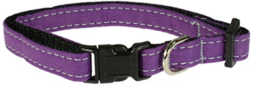 Evans Collars Verstellbares Nylon-Halsband, Small, Passion Purple von Evans Collars