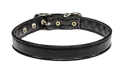 Evans Halsbänder 1/5,1 cm Halsband, Größe 10, Croc, Schwarz von Evans Collars