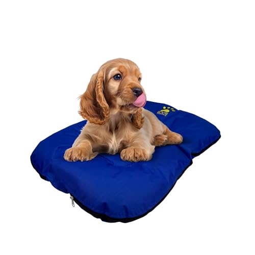 EVE Textile Hundebett | Katzenbett | Hundekorb | Katzenkorb | Hundebetten | Katzenbetten | Hundekörbchen | Katzenkörbchen | Hundekissen | Katzenkissen | 70x100x5 cm (Blau) EVE Textile Hundebett | Katzenbett | Hundekorb | Katzenkorb | Hundebetten | Katzenbetten | Hundekörbchen | Katzenkörbchen | Hundekissen | Katzenkissen | 70x100x5 cm (Blau) von Eve Textile GmbH