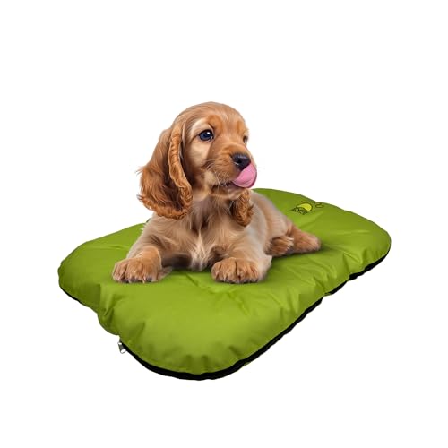 EVE Textile Hundebett | Katzenbett | Hundekorb | Katzenkorb | Hundebetten | Katzenbetten | Hundekörbchen | Katzenkörbchen | Hundekissen | Katzenkissen | 70x100x5 cm (Grün) EVE Textile Hundebett | Katzenbett | Hundekorb | Katzenkorb | Hundebetten | Katzenbetten | Hundekörbchen | Katzenkörbchen | Hundekissen | Katzenkissen | 70x100x5 cm (Grün) von Eve Textile GmbH