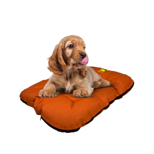 EVE Textile Hundebett | Katzenbett | Hundekorb | Katzenkorb | Hundebetten | Katzenbetten | Hundekörbchen | Katzenkörbchen | Hundekissen | Katzenkissen | 70x100x5 cm (Orange) von Eve Textile GmbH