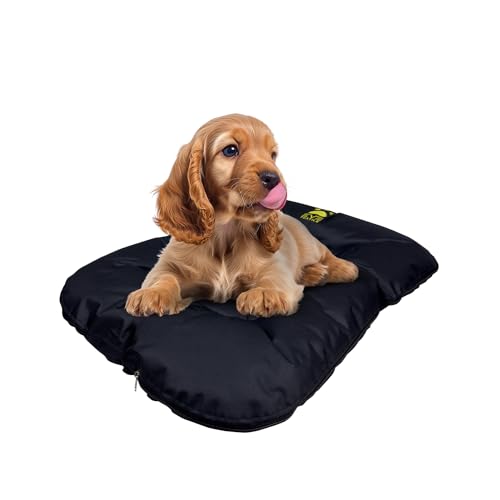 EVE Textile Hundebett | Katzenbett | Hundekorb | Katzenkorb | Hundebetten | Katzenbetten | Hundekörbchen | Katzenkörbchen | Hundekissen | Katzenkissen | 70x100x5 cm (Schwarz) von Eve Textile GmbH