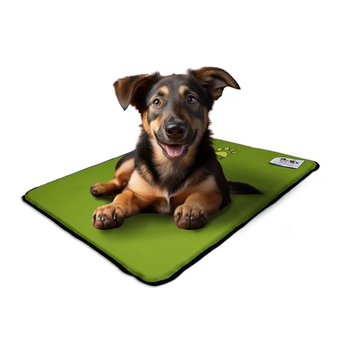 EVE Textile Hundematte | Katzenmatte | Hundekissen | Katzenkissen | Hundebett | Katzenbett | Matte für Hunde und Katzen | Beidseitig Verwendbar | Atmungsaktiv | Kühlend | 50x70x2 cm (Grün) von Eve Textile GmbH