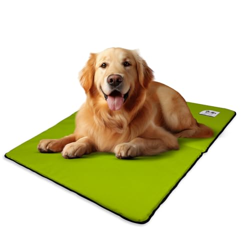 EVE Textile Hundematte | Katzenmatte | Hundekissen | Katzenkissen | Hundebett | Katzenbett | Matte für Hunde und Katzen | Beidseitig Verwendbar | Atmungsaktiv | Kühlend | 70x100x2 cm (Grün) von Eve Textile GmbH