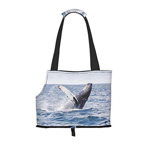 Whale Above Sea Water bedruckte Hundetragetasche, Katzentragetasche, weich, faltbar, für U-Bahn, Einkaufen, Wandern, Reisen von Evealyn