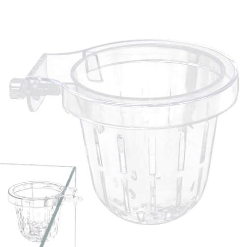 Evember Aquarium-Pflanzenhalter, transparent, Aquarium-Pflanzenhalter, Aquarium-Pflanzenhalter mit Loch für Aquariumpflanzen-Dekorationen Evember Aquarium-Pflanzenhalter, transparent, Aquarium-Pflanzenhalter, Aquarium-Pflanzenhalter mit Loch für Aquariumpflanzen-Dekorationen von Evember