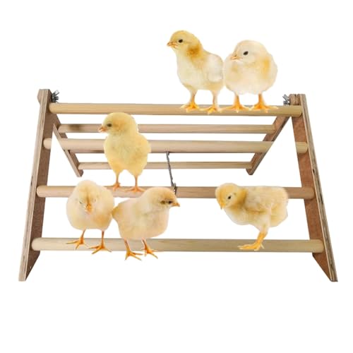 Evember Chick Stand Training Barch – Holz Hühnerständer Zubehör Spielzeug – Interaktive Holz Küken Dschungel Gym Roosting Bar für große Vögel, , Aras, Hühner Evember Chick Stand Training Barch – Holz Hühnerständer Zubehör Spielzeug – Interaktive Holz Küken Dschungel Gym Roosting Bar für große Vögel, , Aras, Hühner von Evember