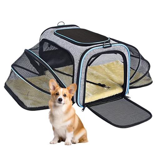 Evember Haustier-Tragetasche für Katzen, tragbare Katzen-Reisetasche, Haustier-Tragetasche, abnehmbare Hundetasche für Reisen, Einkaufen, Spazierengehen von Evember