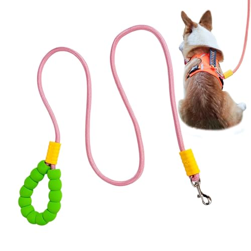 Evember Hundeseil – Welpen-Walking-Leine | Geflochtenes Seil, Traktionsleine, Trainingsleine für mittelgroße und große Hunde von Evember