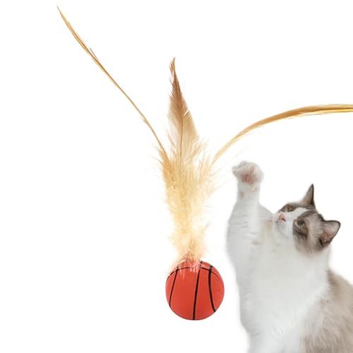 Evember Kätzchenball-Spielzeug | Bounce Ball Katzenspielzeug – Interaktives Hundespielzeug, Kätzchen-Kauzubehör für gesunde körperliche engere Verbindung von Evember