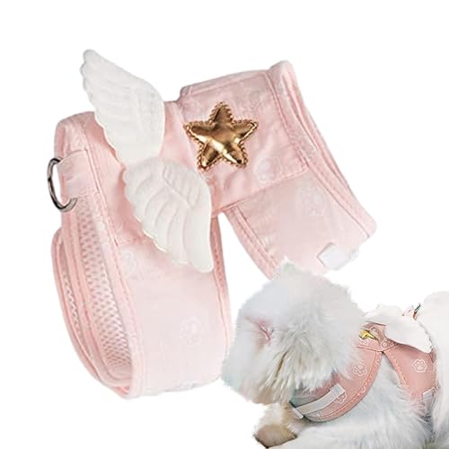 Evember Katzengeschirr, Engelsflügel-Leinen- und Halsband-Set, Haustier-Trainingshalsband für Katzen, Hunde, Kaninchen und andere Kleintiere Evember Katzengeschirr, Engelsflügel-Leinen- und Halsband-Set, Haustier-Trainingshalsband für Katzen, Hunde, Kaninchen und andere Kleintiere von Evember
