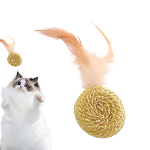 Evember Katzenspielzeug-Ball für Indoor-Katzen, lustiges Katzenspielzeug, interaktiver Katzenfeder-Spielzeugball, Katzenfederball, Katzen-Teasing-Spielzeug zum Spielen, Jagen, für drinnen und draußen, Evember Katzenspielzeug-Ball für Indoor-Katzen, lustiges Katzenspielzeug, interaktiver Katzenfeder-Spielzeugball, Katzenfederball, Katzen-Teasing-Spielzeug zum Spielen, Jagen, für drinnen und draußen, von Evember