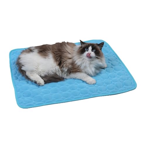 Evember Kühlmatte für Hunde – wasserdicht, waschbar, kühlendes Hundebett, Katzenkissen für Schlafzimmer, Wohnzimmer, Terrasse, Auto, Camping, Reisen Evember Kühlmatte für Hunde – wasserdicht, waschbar, kühlendes Hundebett, Katzenkissen für Schlafzimmer, Wohnzimmer, Terrasse, Auto, Camping, Reisen von Evember