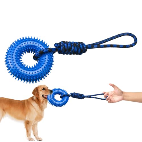 Evember Quietschendes Spielzeug für Hunde, Beißring für Welpen, Welpenspielzeug mit Seil zur Linderung von Langeweile, interaktiver Trainingsring für kleine, mittelgroße und große Hunde, im Freien Evember Quietschendes Spielzeug für Hunde, Beißring für Welpen, Welpenspielzeug mit Seil zur Linderung von Langeweile, interaktiver Trainingsring für kleine, mittelgroße und große Hunde, im Freien von Evember