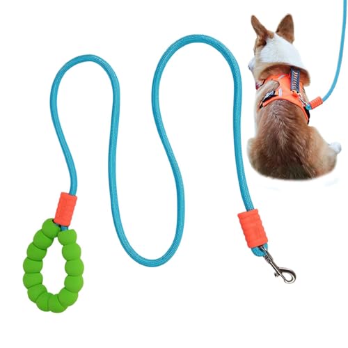 Evember Trainingsseil für kleine Hunde, Haustier-Traktionsseil, geflochtenes Seil, Traktionsleine, Trainingsleine für mittelgroße und große Hunde Evember Trainingsseil für kleine Hunde, Haustier-Traktionsseil, geflochtenes Seil, Traktionsleine, Trainingsleine für mittelgroße und große Hunde von Evember