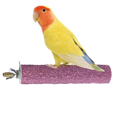 Zerkleinerungsstab für Vögel, Spielzeug auf Halterung für Vögel, Halterung für Papageien für Käfig – Barschspielzeug aus Käfig mit natürlichem Quarzsand für Wellensittiche, Papageien Evember Zerkleinerungsstab für Vögel, Spielzeug auf Halterung für Vögel, Halterung für Papageien für Käfig – Barschspielzeug aus Käfig mit natürlichem Quarzsand für Wellensittiche, Papageien Evember von Evember