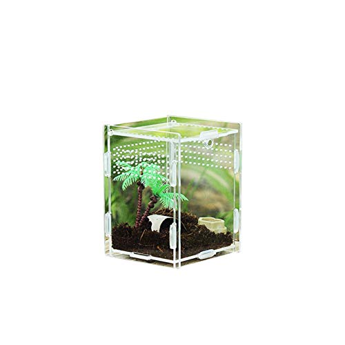 Terrarium Transportbox Reptil Fütterungsbox Acryl Reptilienzuchtbox Transparent Reptil Zuchtfall Für Spide, Eidechse, Skorpion, Tausendfüßler, Gehörnter Frosch, Käfer von Evenlyao