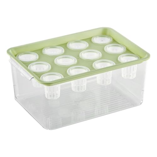 Eventerde Betta Fischtank, Betta Aquarium, Anlagenverteilungsstation, Blumenverbreitungsstation Vase für Hydrokulturpflanzen Wohnkultur von Eventerde