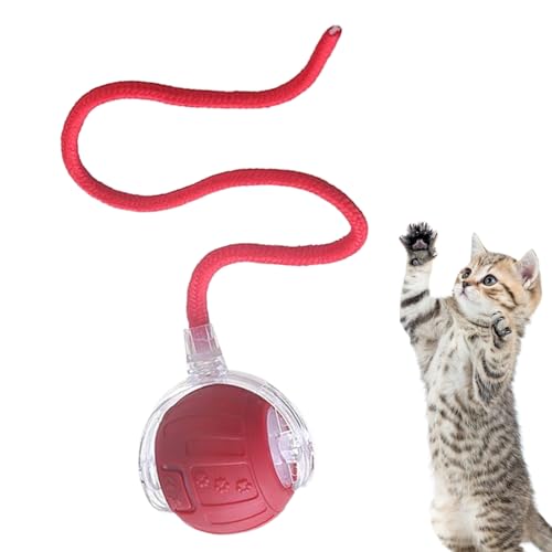 Eventerde Interaktiver Katzenball Spielzeug - Automatisches Interaktives Katzenspielzeug | Leises Elektroball mit Schwanzseil zur Unterhaltung, Indoor-Training & Jagdsimulation bei Langeweile Eventerde Interaktiver Katzenball Spielzeug - Automatisches Interaktives Katzenspielzeug | Leises Elektroball mit Schwanzseil zur Unterhaltung, Indoor-Training & Jagdsimulation bei Langeweile von Eventerde