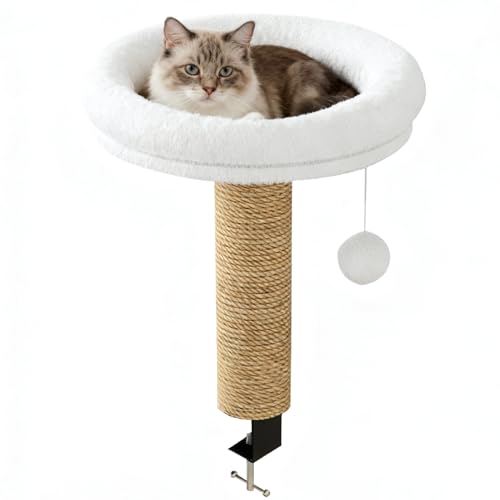 Eventerde Katzen Schreibtisch Bett - Kippsicher 360° Drehbar Verstellbar | Kätzchen Klemme Tischhängematte - Für Indoor Zuhause Winter Fensterbank Schlafzimmer Wohnzimmer Balkon Bücherregal Eventerde Katzen Schreibtisch Bett - Kippsicher 360° Drehbar Verstellbar | Kätzchen Klemme Tischhängematte - Für Indoor Zuhause Winter Fensterbank Schlafzimmer Wohnzimmer Balkon Bücherregal von Eventerde