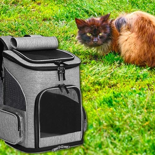 Eventerde Katzentransporttasche,Zusammenklappbar Tragbar Ausziehbar - Atmungsaktive Haustierrucksäcke Für Auto Flug Tierarztbesuch Pflege Camping Reisen Spaziergänge Outdoor Transport Eventerde Katzentransporttasche,Zusammenklappbar Tragbar Ausziehbar - Atmungsaktive Haustierrucksäcke Für Auto Flug Tierarztbesuch Pflege Camping Reisen Spaziergänge Outdoor Transport von Eventerde